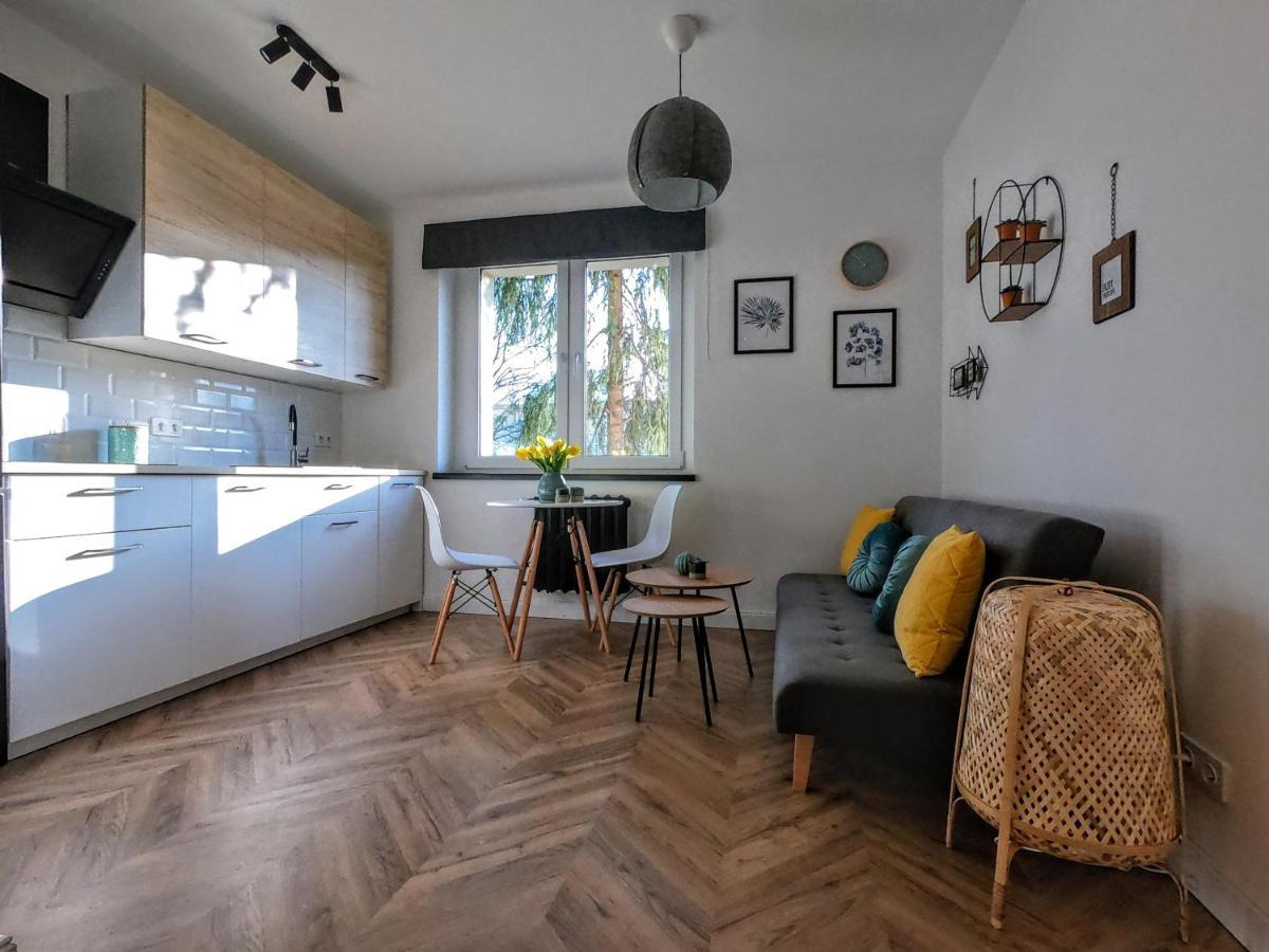 Przytulny Apartament Przy Sokolskiej - 550 Metrow Od Spodka Katowice Zewnętrze zdjęcie